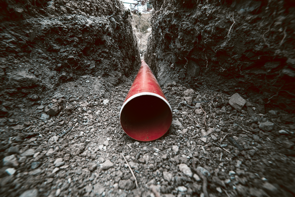 AdobeStock_133204229 of of.png